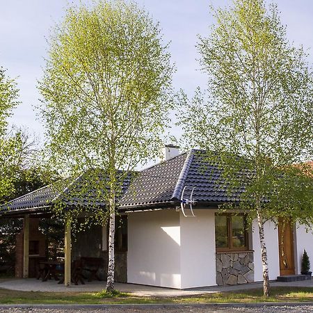 "Miedzy Gruszka A Sanem" Apartamento Lesko Exterior foto